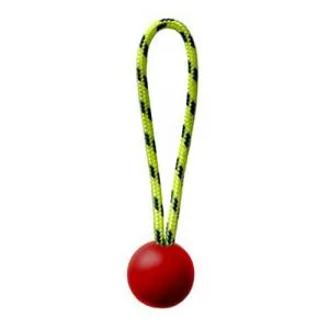 ART Retrieval Ball with loop - Large