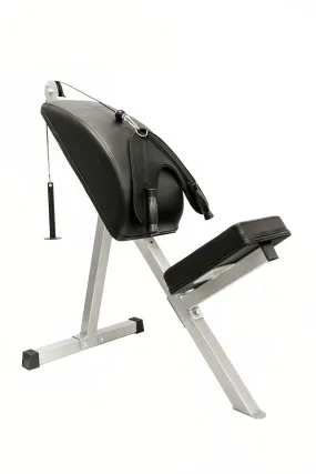 Body Iron Leverage Abdominal Bench Pro